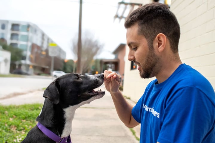 Friends For Life Animal Shelter