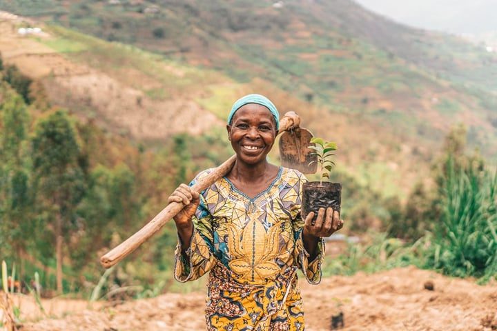 One Tree Planted