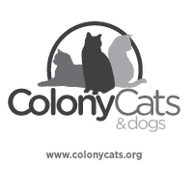 Colony Cats (&dogs)