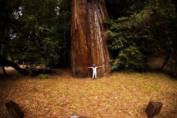 California State Parks Foundation