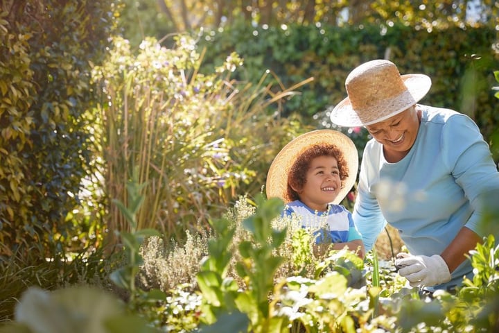 Alzheimers New Zealand