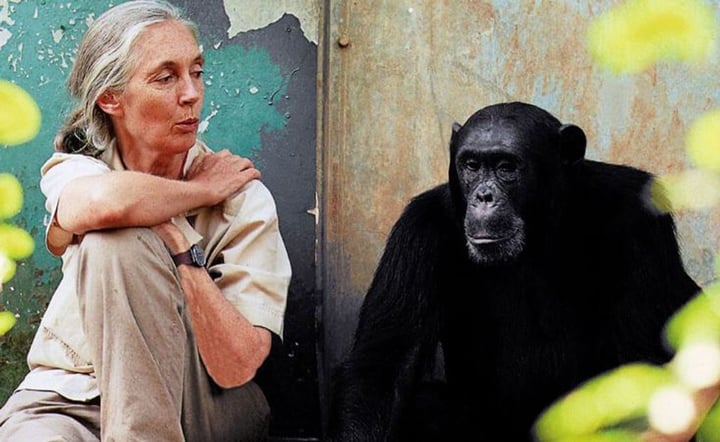 Jane Goodall Institute For Wildlife Research Education & Conservation