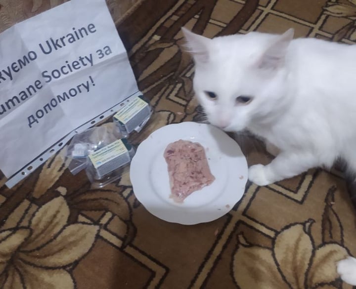 Ukraine Humane Society 