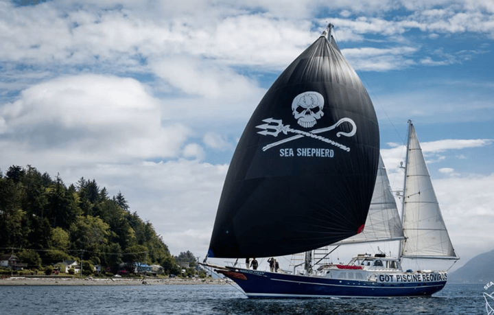 Sea Shepherd Conservation Society