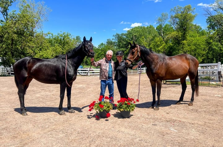 Bowman Second Chance Thoroughbred Adoption