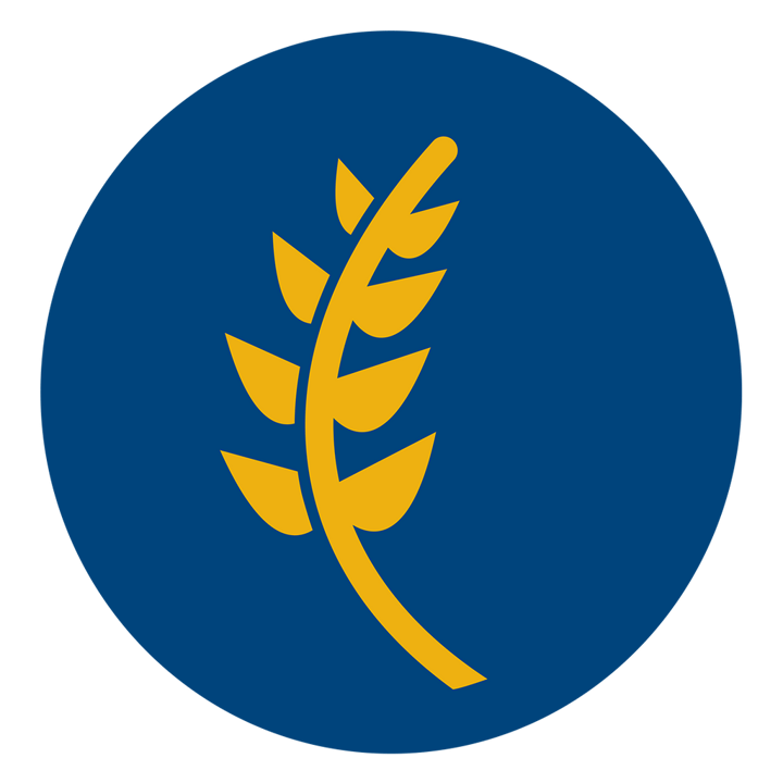 WAYZATA EDUCATION FUND