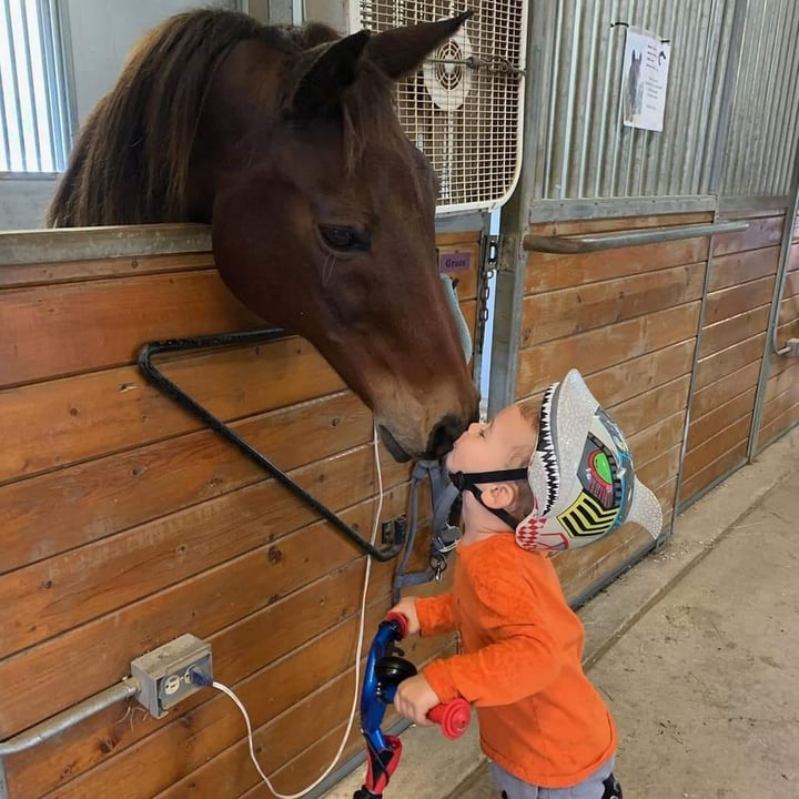 Horse And Buddy Therapeutic Riding Program