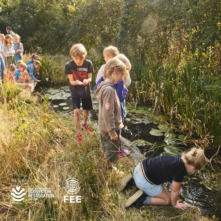 Foundation for Environmental Education - FEE