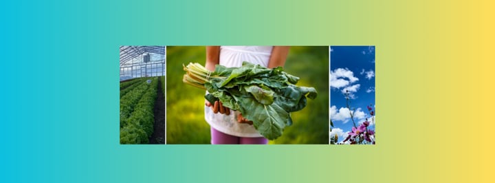 Poughkeepsie Farm Project