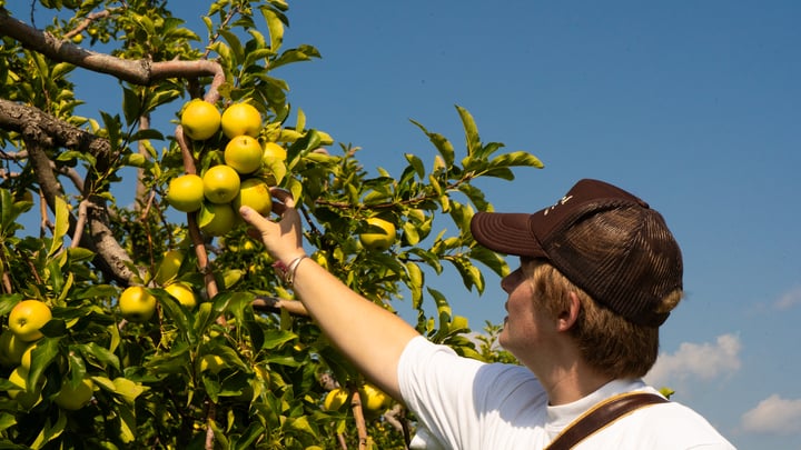 The Farmlink Project