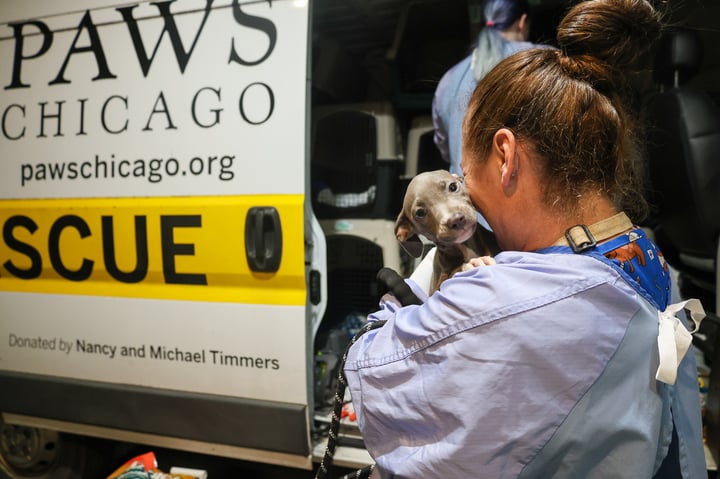 PAWS Chicago