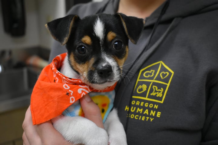 Oregon Humane Society
