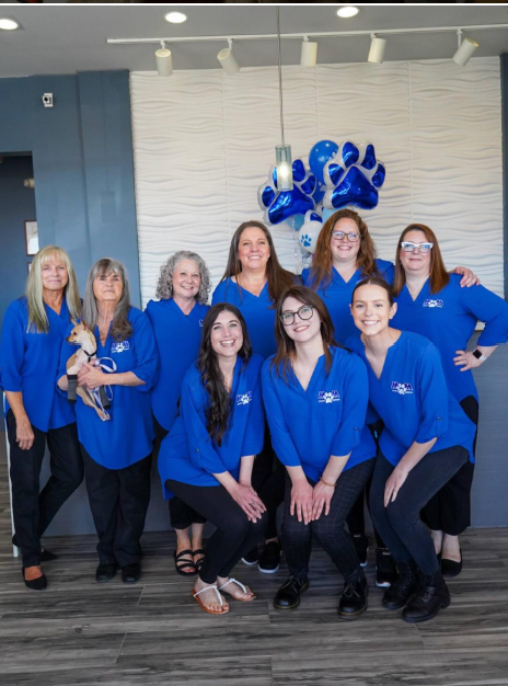 Mazie's Mission: The Only Nonprofit Veterinary Hospital of Its Kind in America