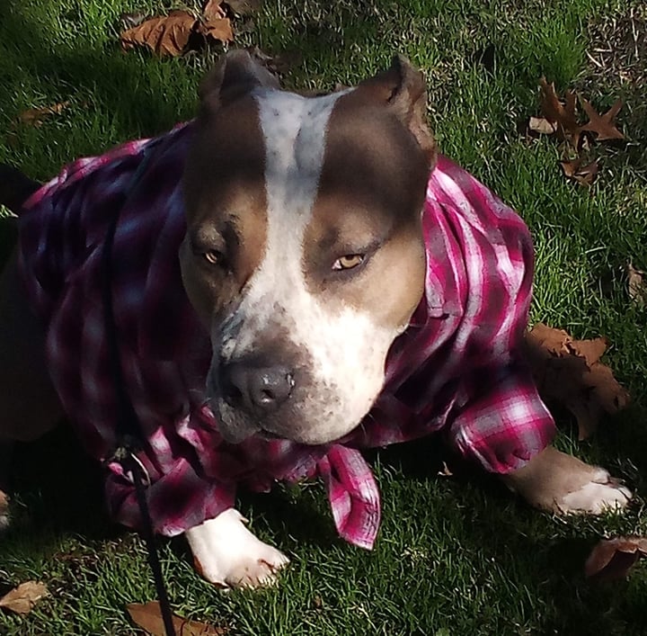 stranded out of state