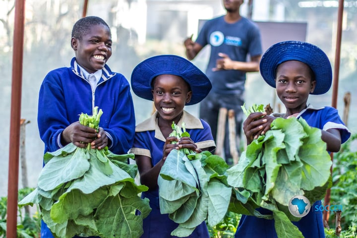 It Starts With Soccer