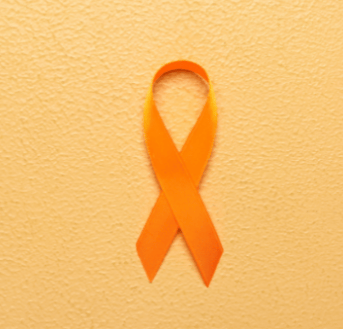 National Network to End Domestic Violence (NNEDV)