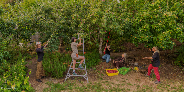 Portland Fruit Tree Project