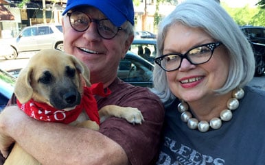 Pets for the Elderly