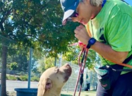 Contra Costa Humane