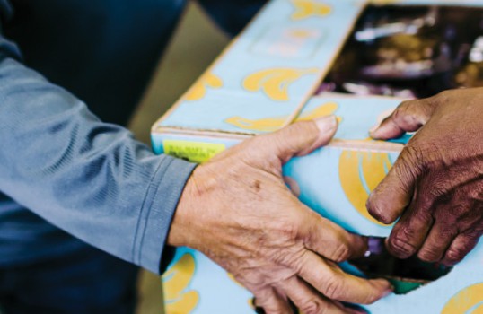 Feeding the Foothills