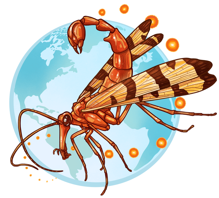 Global Entomology Coalition