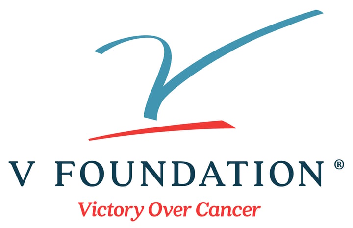 The V Foundation