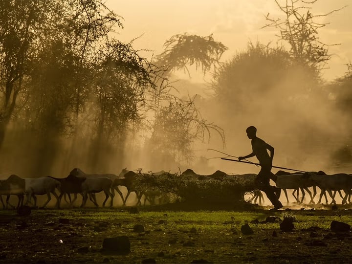 Conservation International