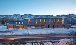 RMI (Rocky Mountain Institute)