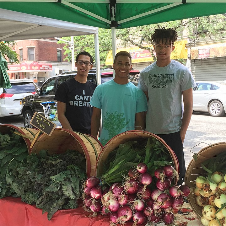 THE BROTHERHOOD SISTER SOL (BROSIS)