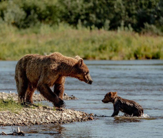 The Conservation Fund
