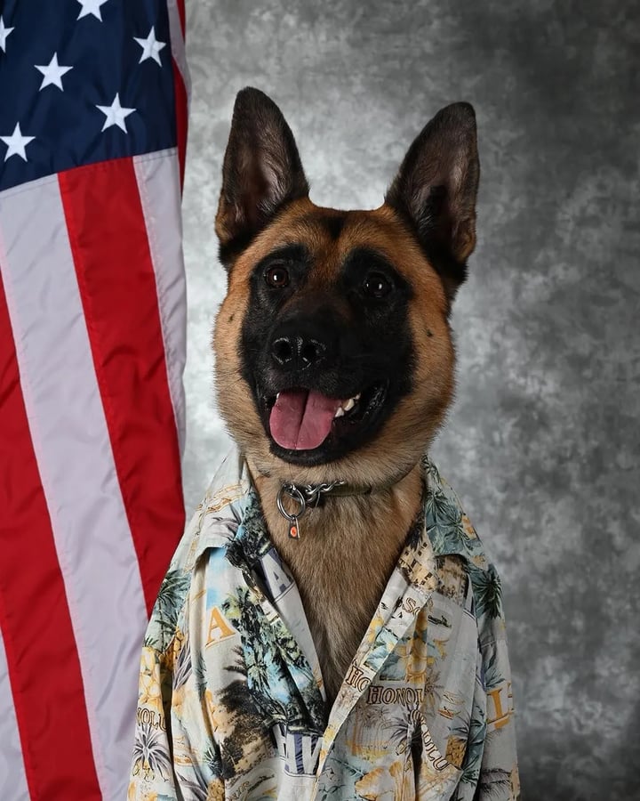 United States War Dog Association (USWDA)