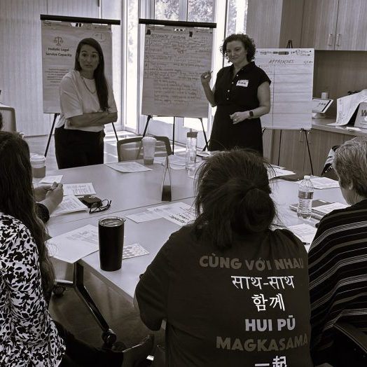 Houston Immigration Legal Services Collaborative (HILSC)