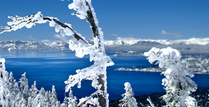The Tahoe Fund
