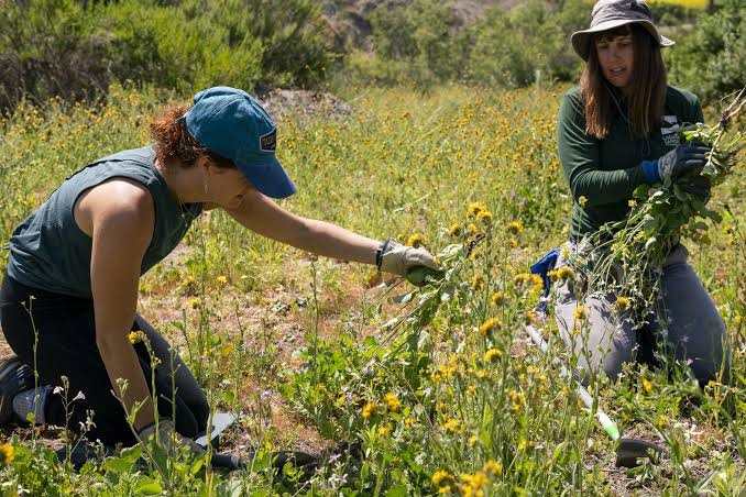 Laguna Canyon Foundation